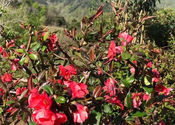 Casita Con Encanto, Junto A Comillas شقة Canales (Cantabria)