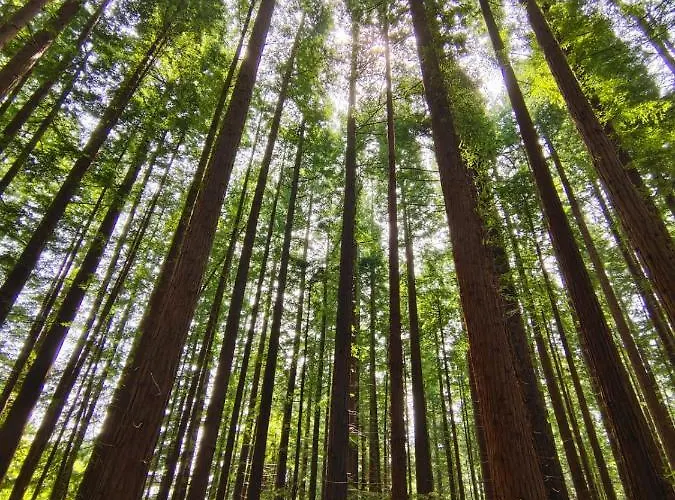 Casita Con Encanto, Junto A Comillas شقة Canales (Cantabria)